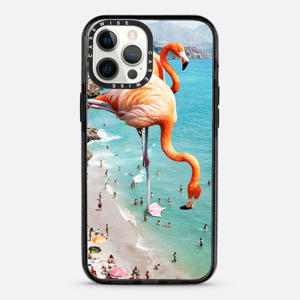 Flamingos auf Th - Hülle