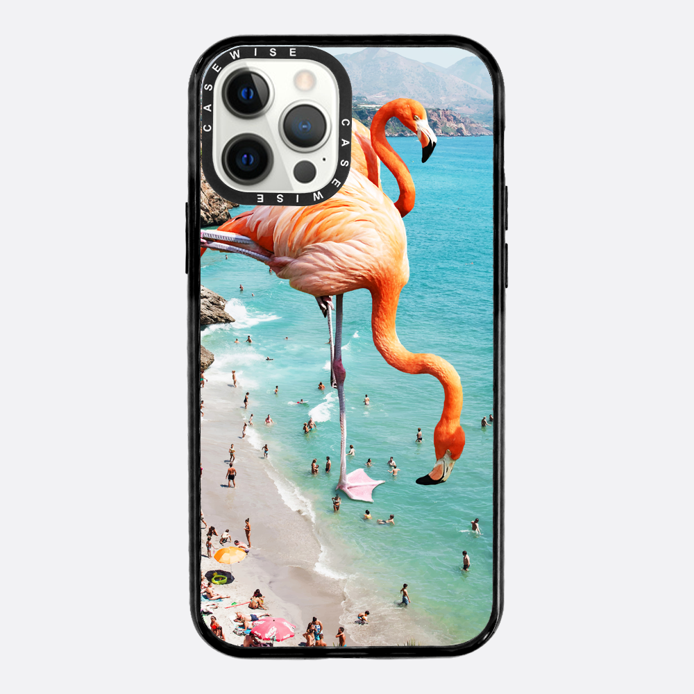 Flamingos auf Th - Hülle