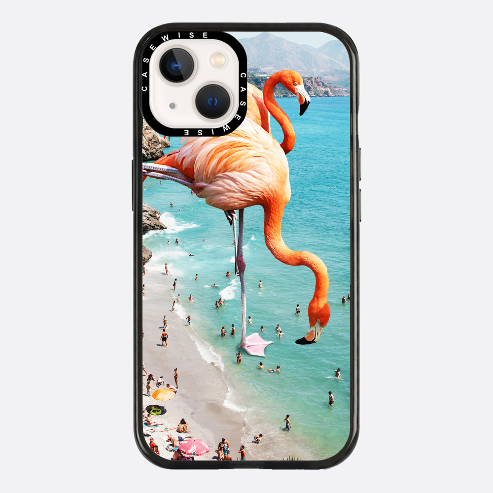 Flamingos auf Th - Hülle
