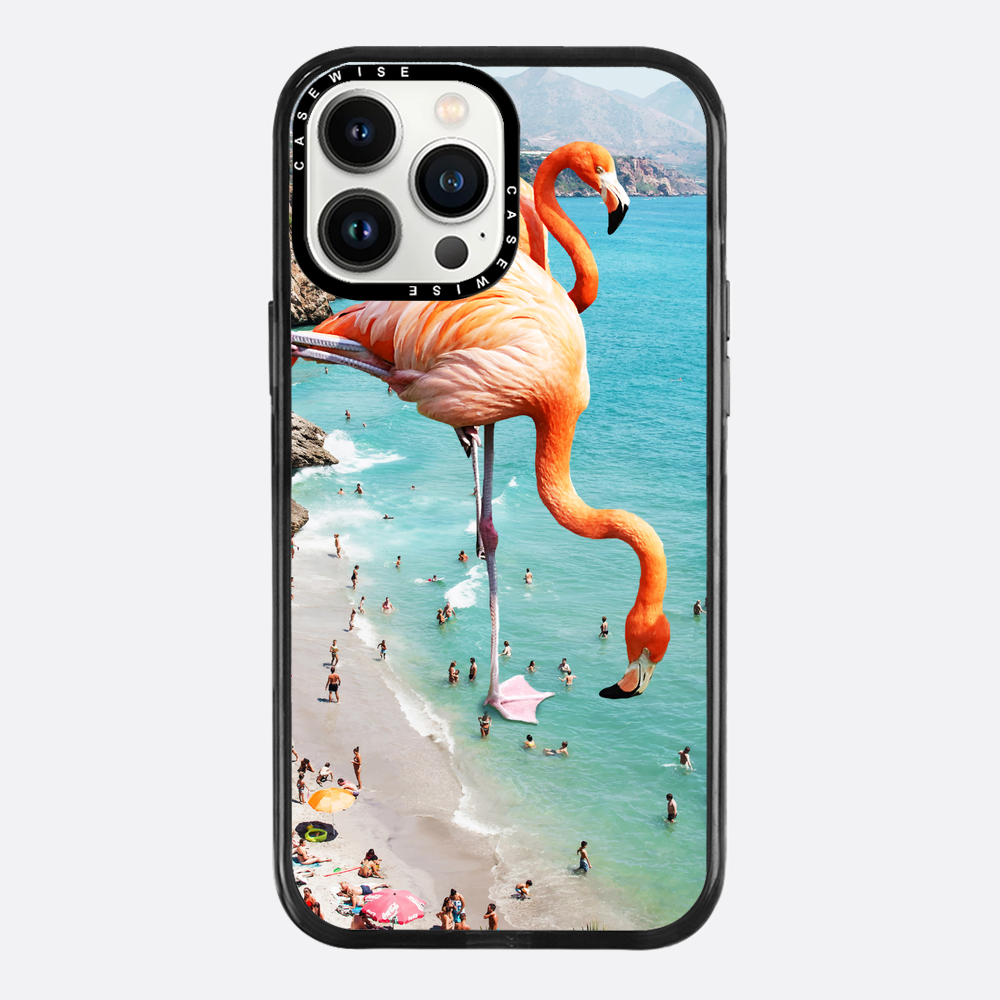 Flamingos auf Th - Hülle
