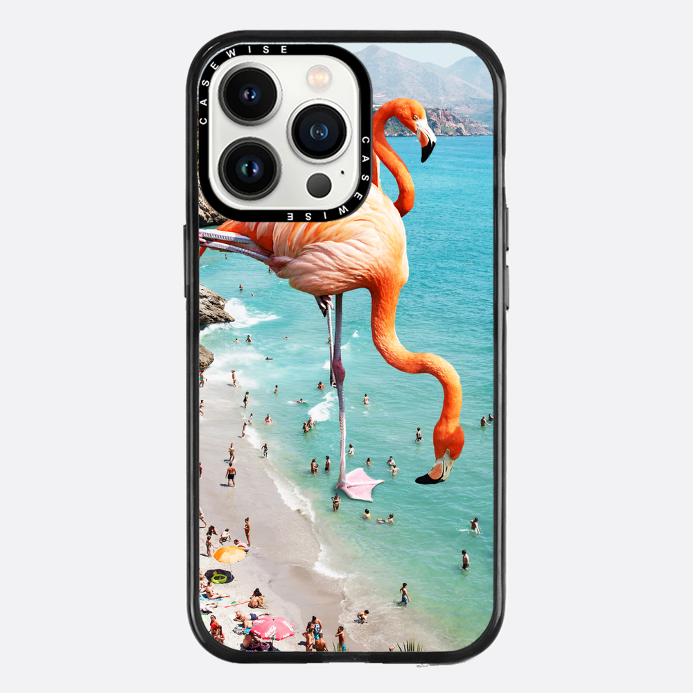 Flamingos auf Th - Hülle