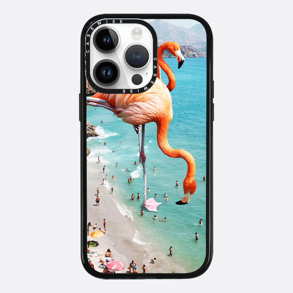 Flamingos auf Th - Hülle