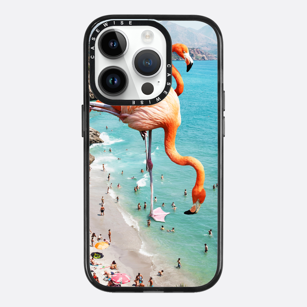 Flamingos auf Th - Hülle