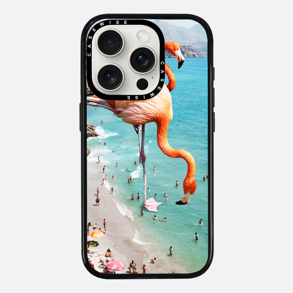 Flamingos auf Th - Hülle