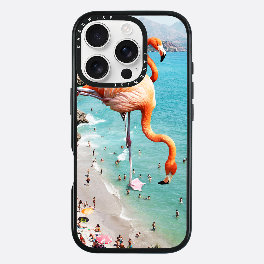 Flamingos auf Th - Hülle