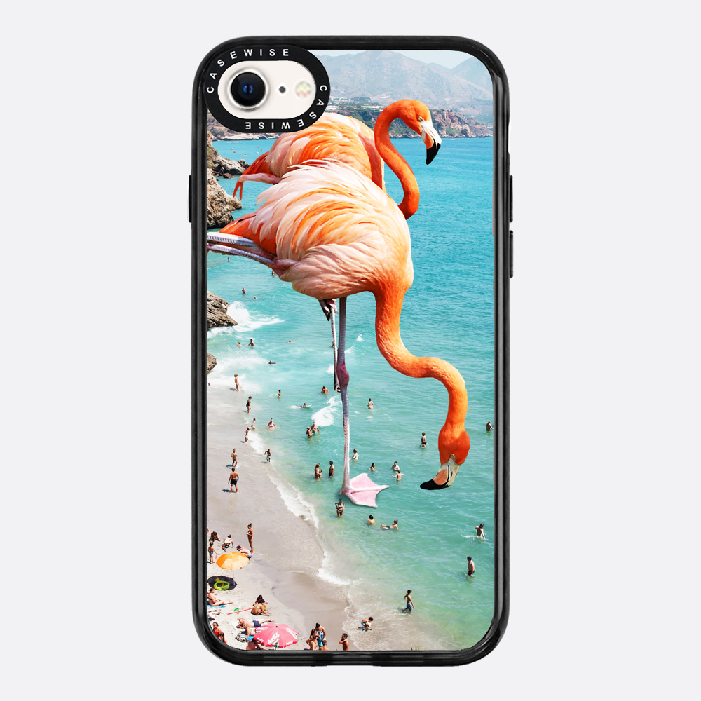 Flamingos auf Th - Hülle