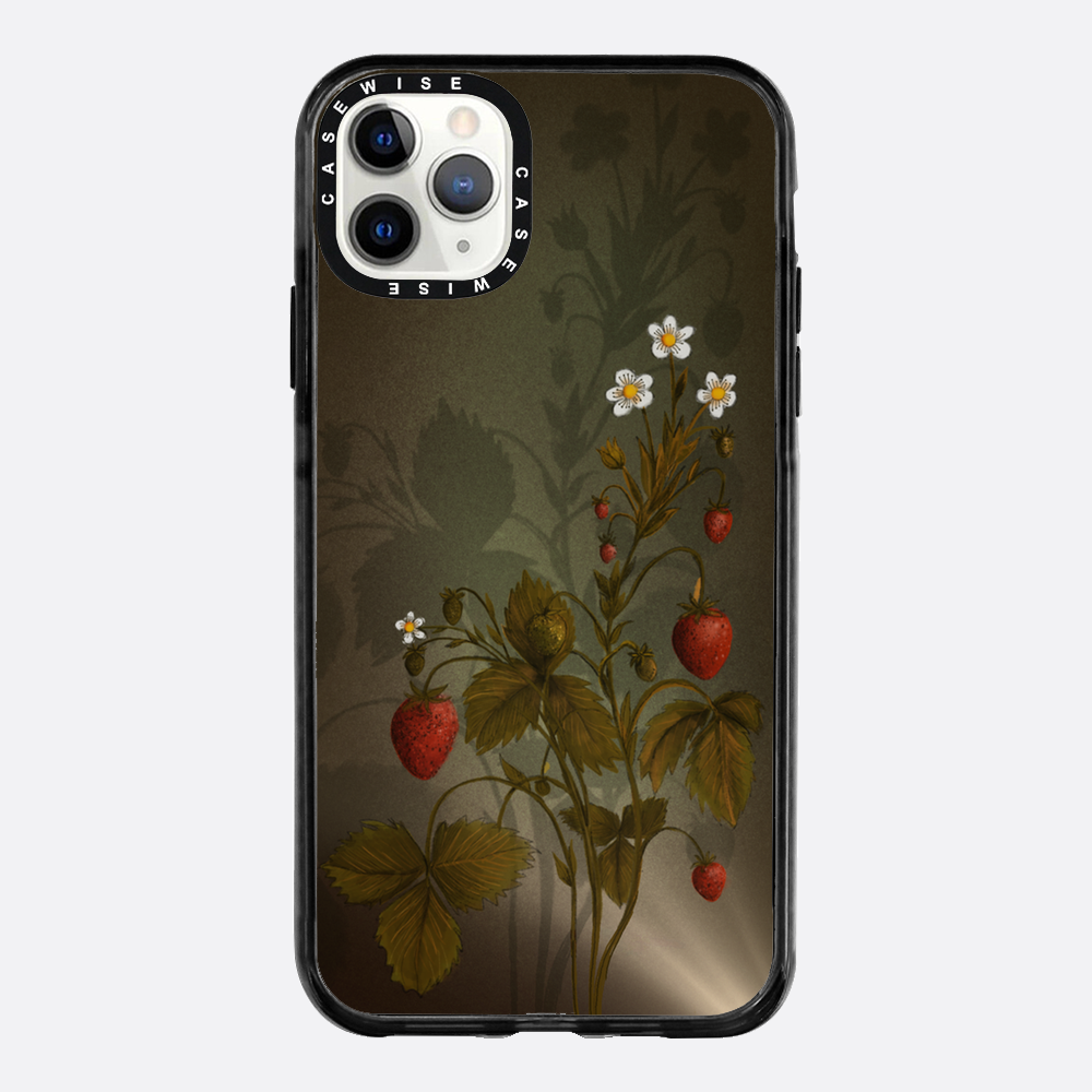 Erdbeeren mit Schatten - Hülle