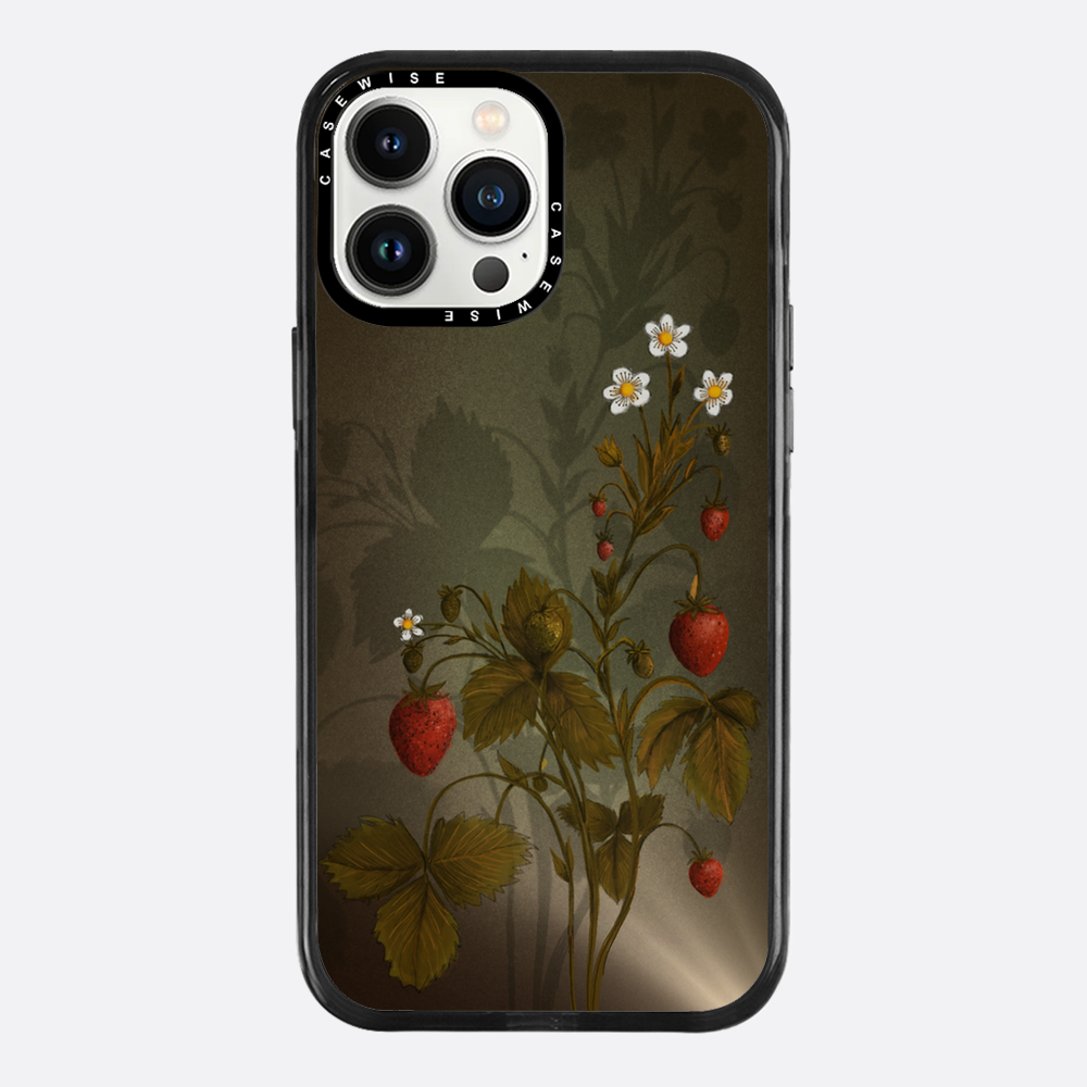 Erdbeeren mit Schatten - Hülle