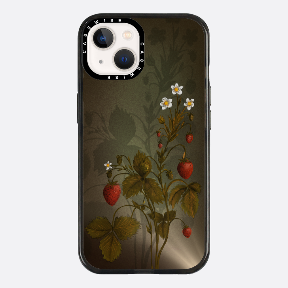 Erdbeeren mit Schatten - Hülle