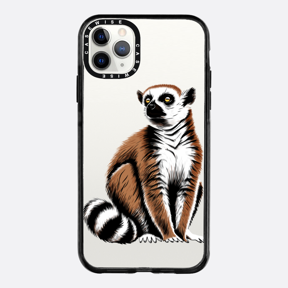 Lemur Coronasy - Hülle