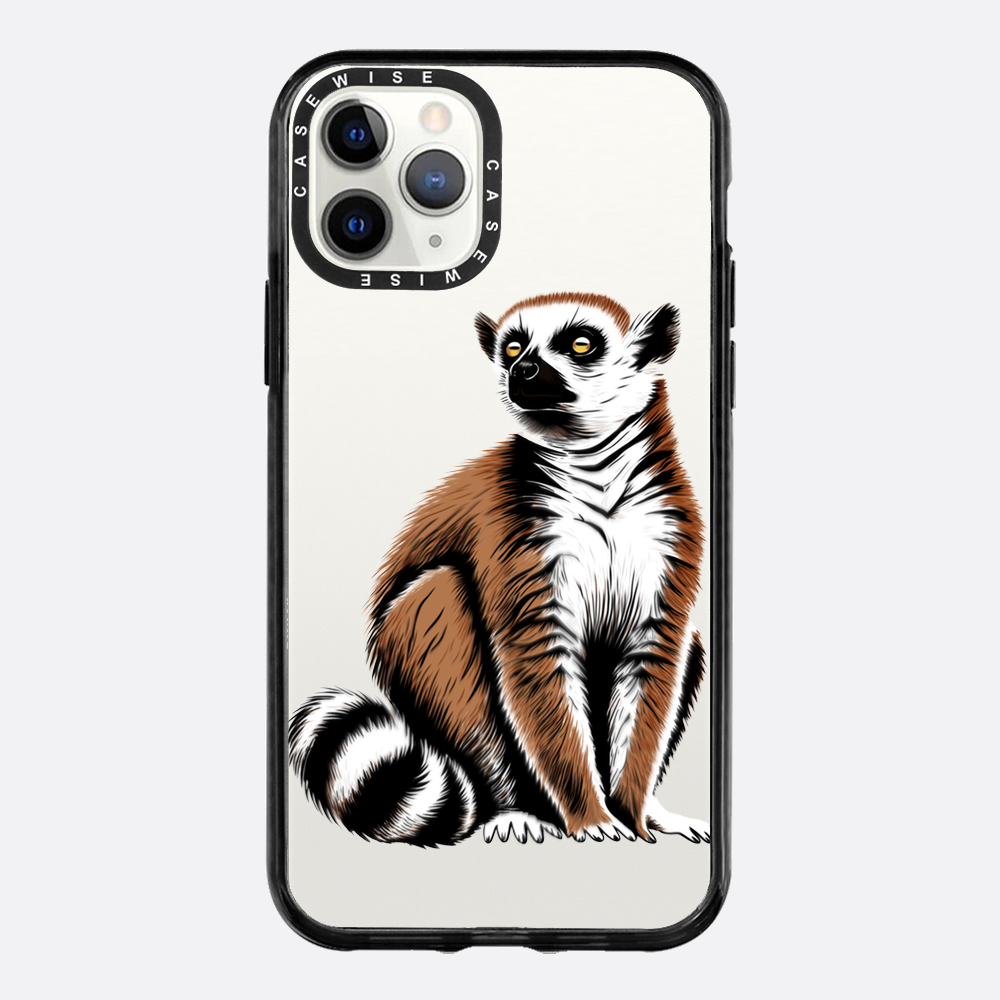 Lemur Coronasy - Hülle