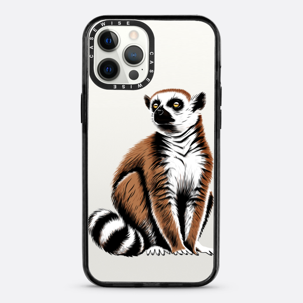 Lemur Coronasy - Hülle