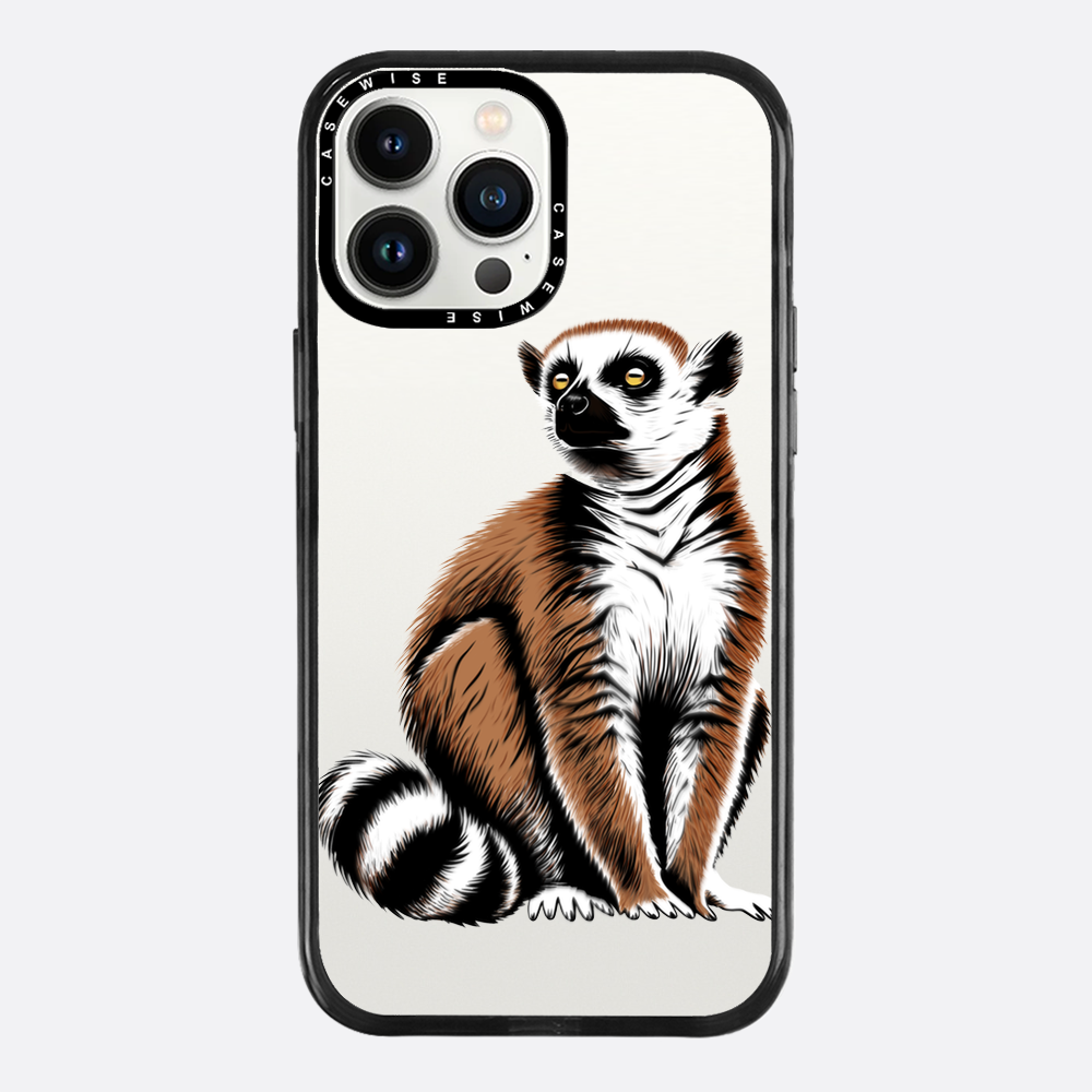 Lemur Coronasy - Hülle