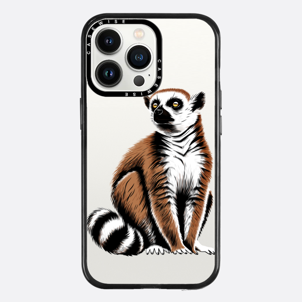 Lemur Coronasy - Hülle