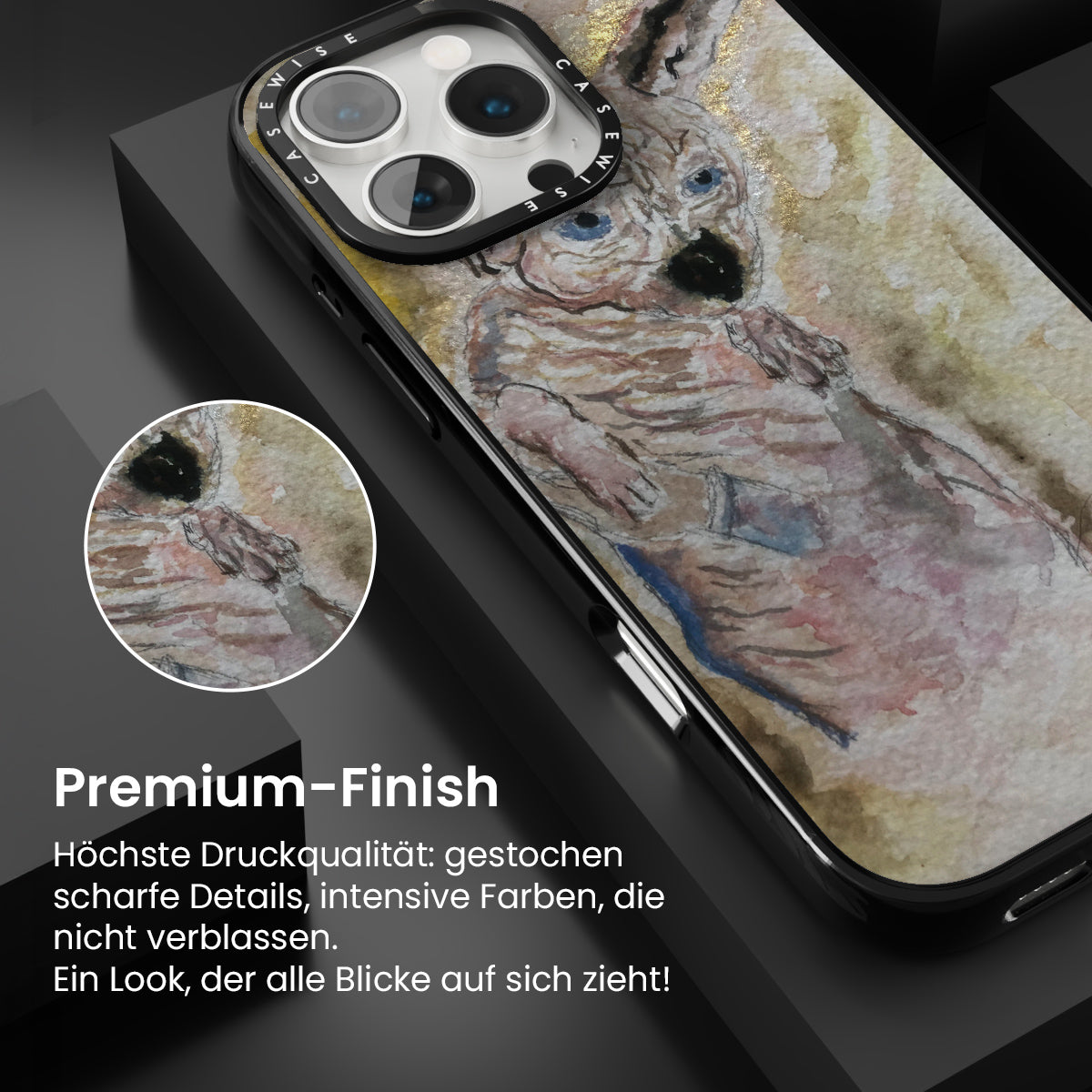 Geheimnisvoller Spinx - Hülle