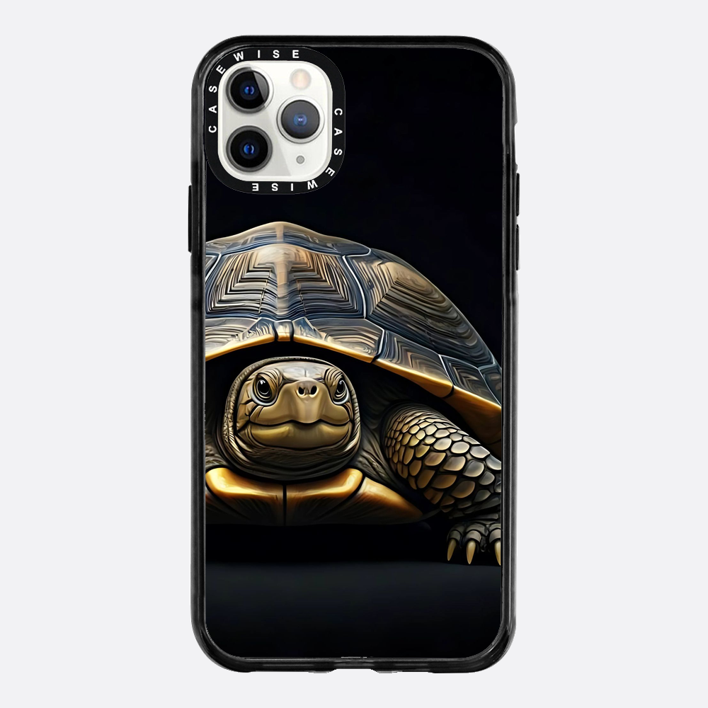 Schildkröte 1 - Hülle