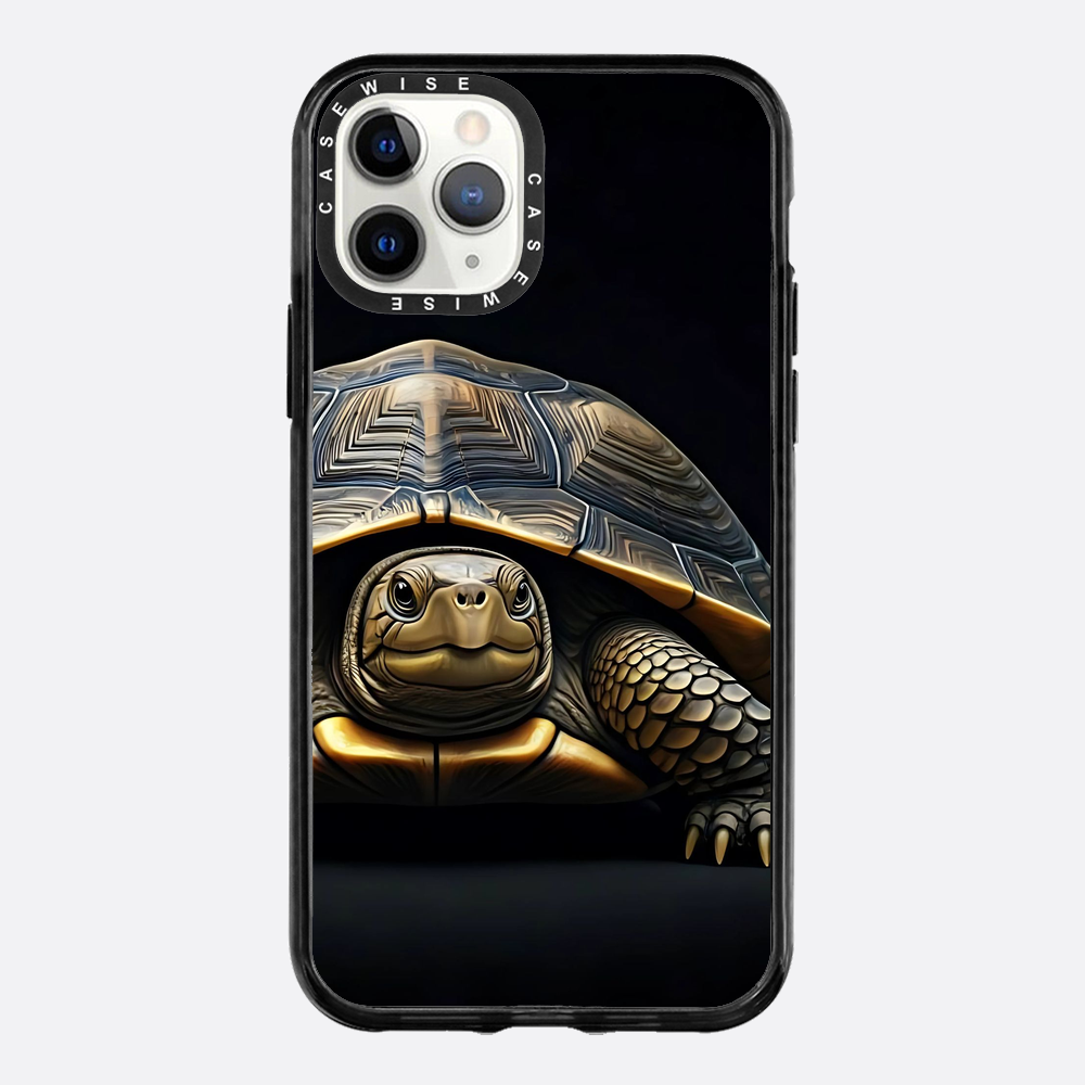Schildkröte 1 - Hülle