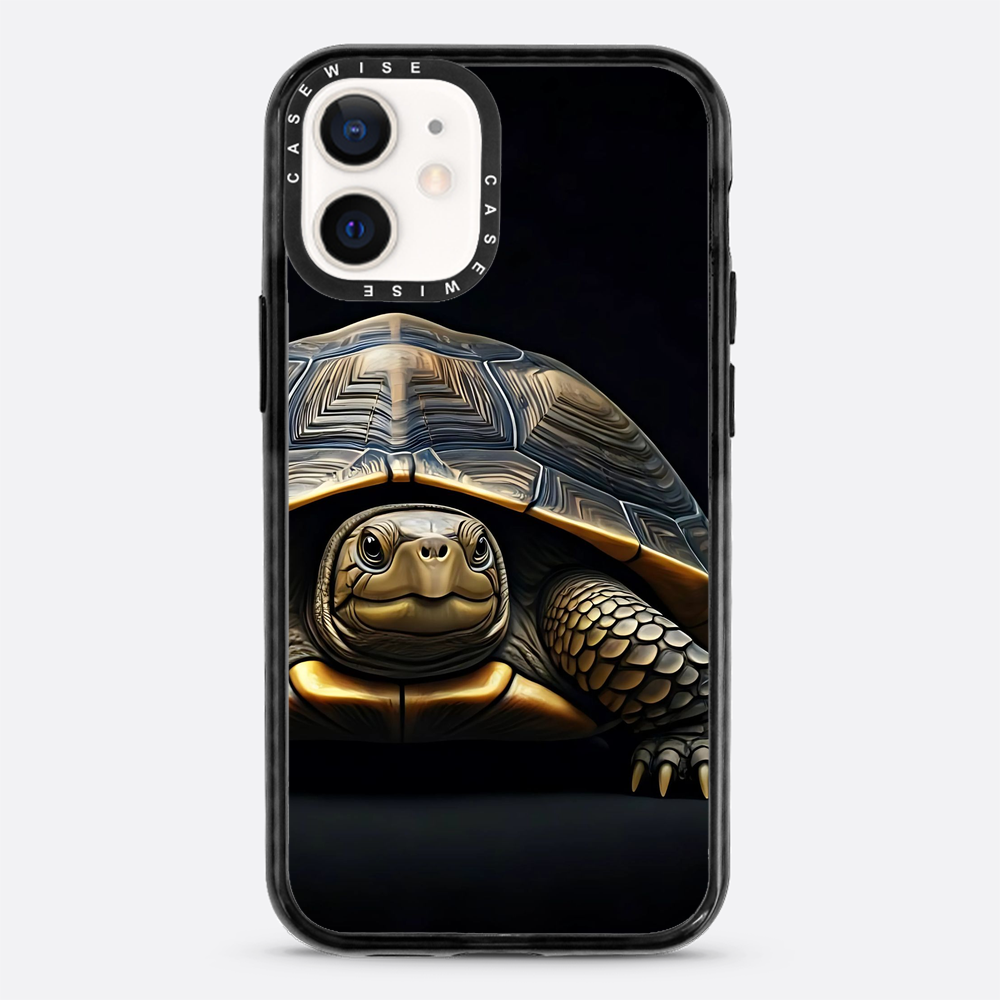 Schildkröte 1 - Hülle