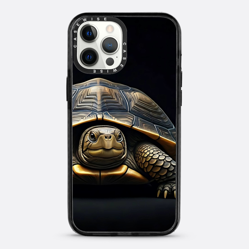Schildkröte 1 - Hülle