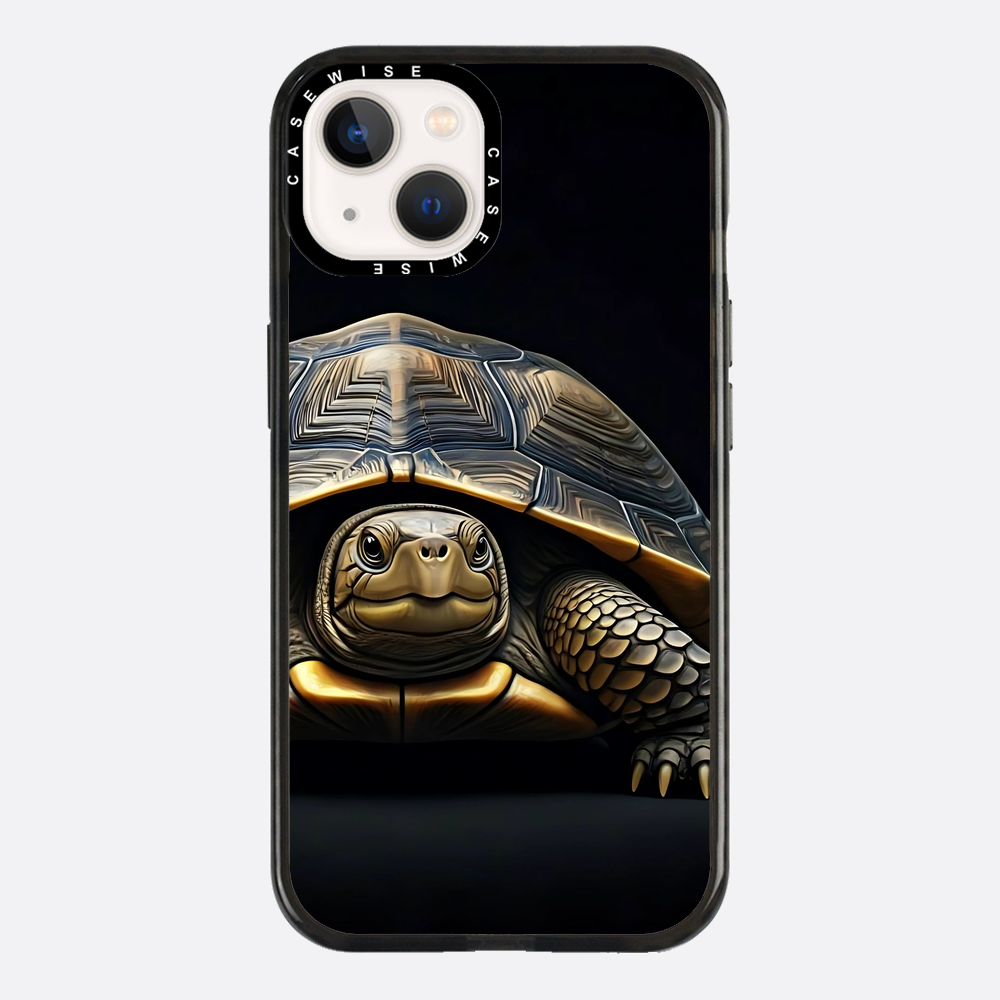 Schildkröte 1 - Hülle