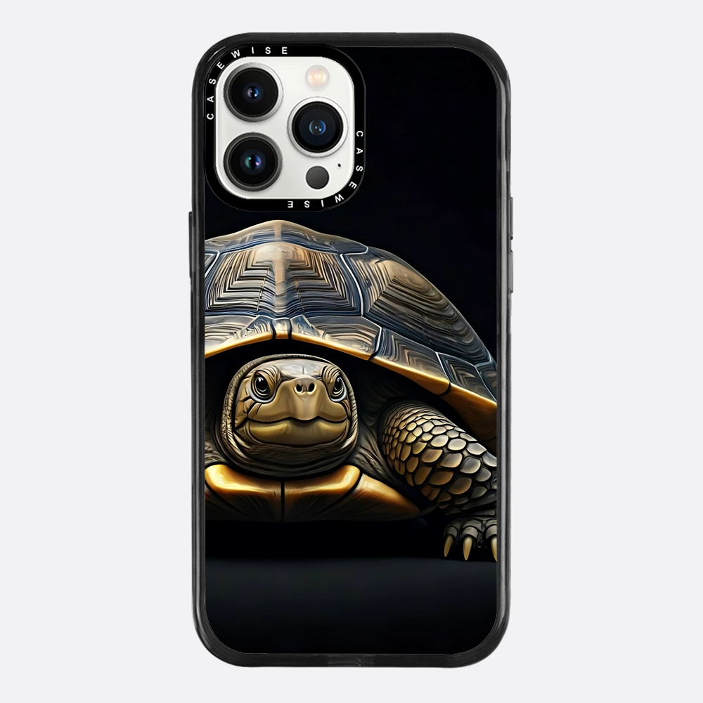 Schildkröte 1 - Hülle