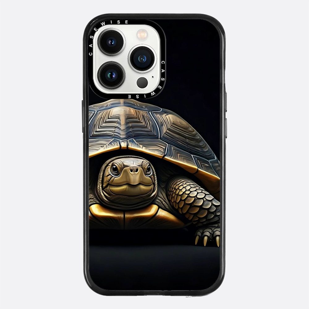Schildkröte 1 - Hülle