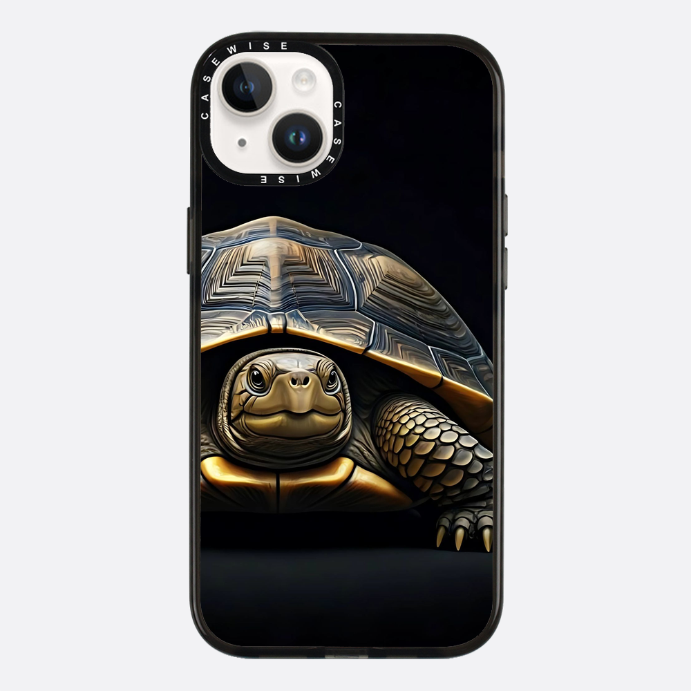 Schildkröte 1 - Hülle
