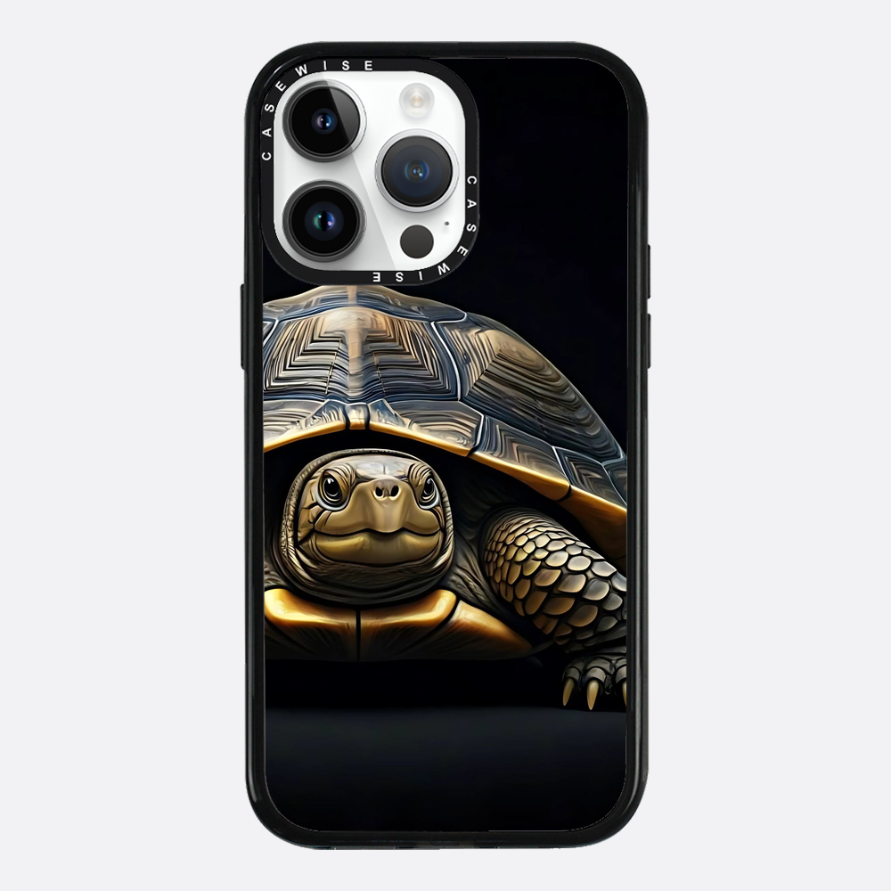 Schildkröte 1 - Hülle