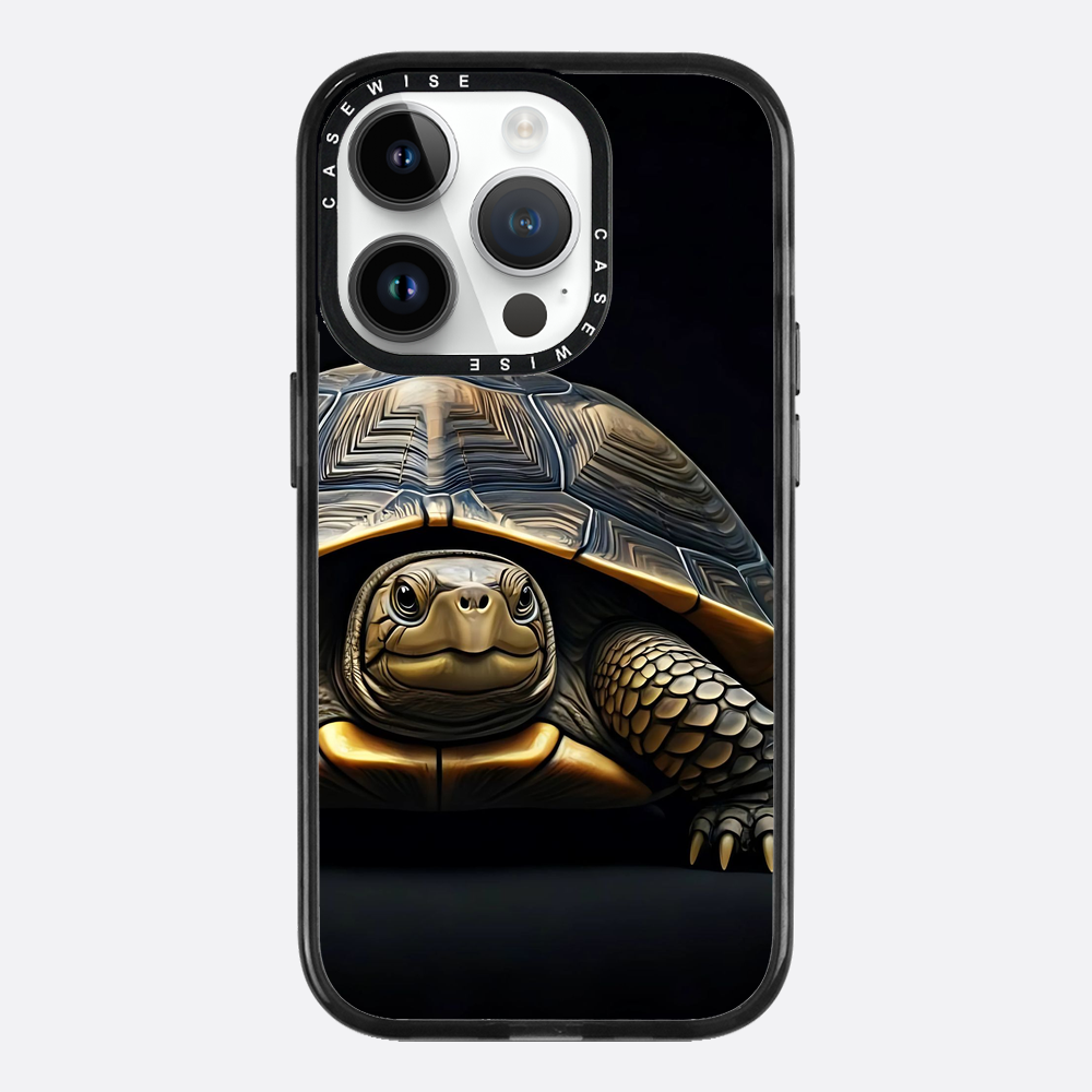 Schildkröte 1 - Hülle