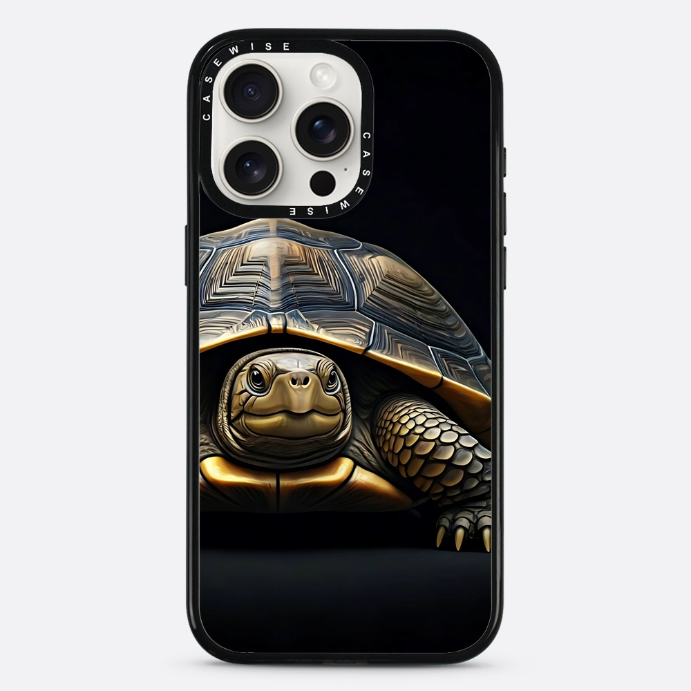 Schildkröte 1 - Hülle