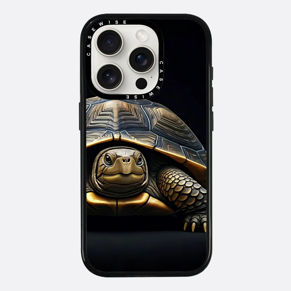 Schildkröte 1 - Hülle