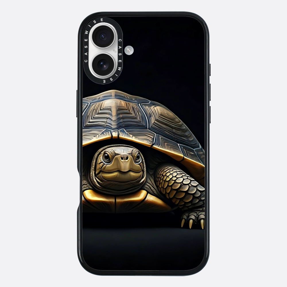 Schildkröte 1 - Hülle