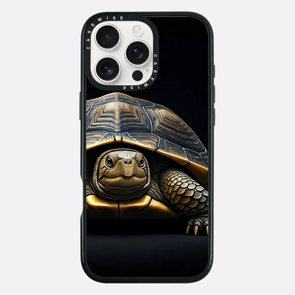 Schildkröte 1 - Hülle
