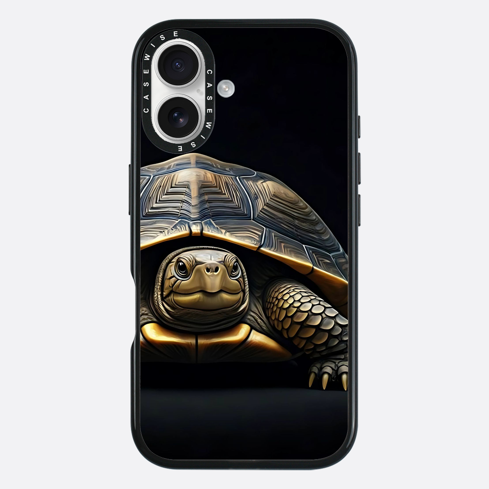 Schildkröte 1 - Hülle