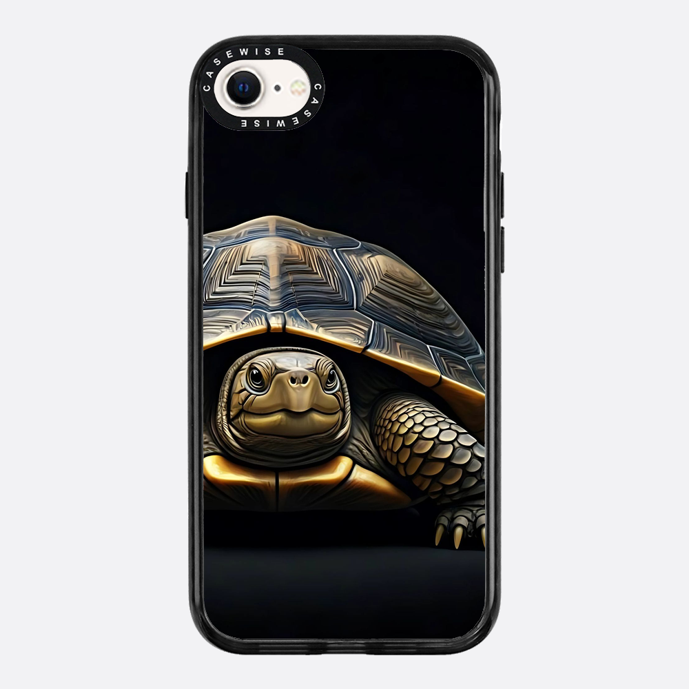 Schildkröte 1 - Hülle