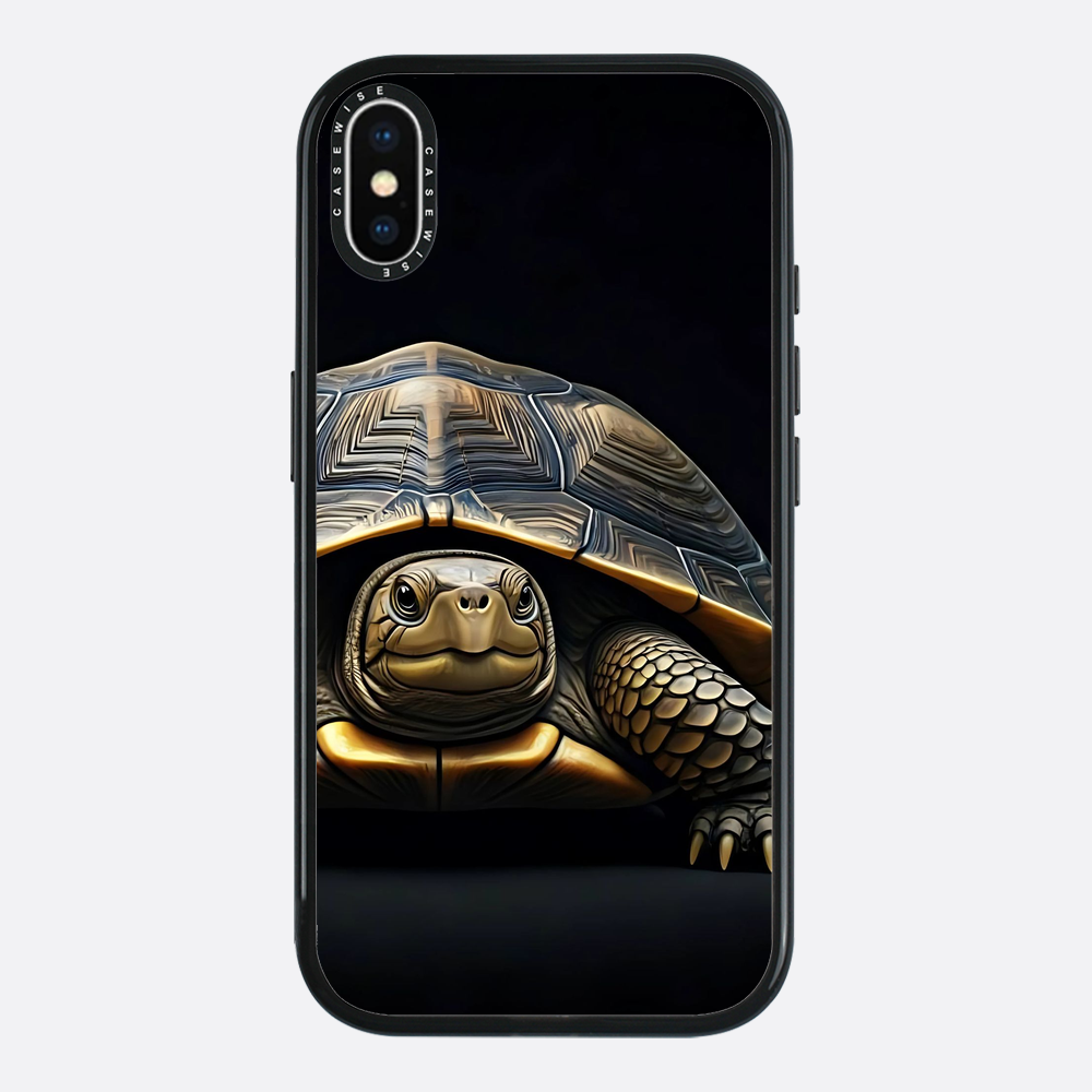 Schildkröte 1 - Hülle