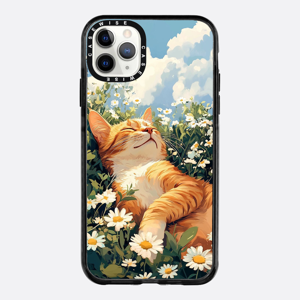 Katze Sommerkälte - Hülle