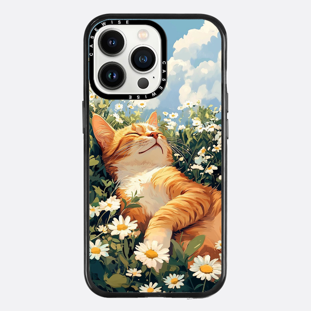 Katze Sommerkälte - Hülle