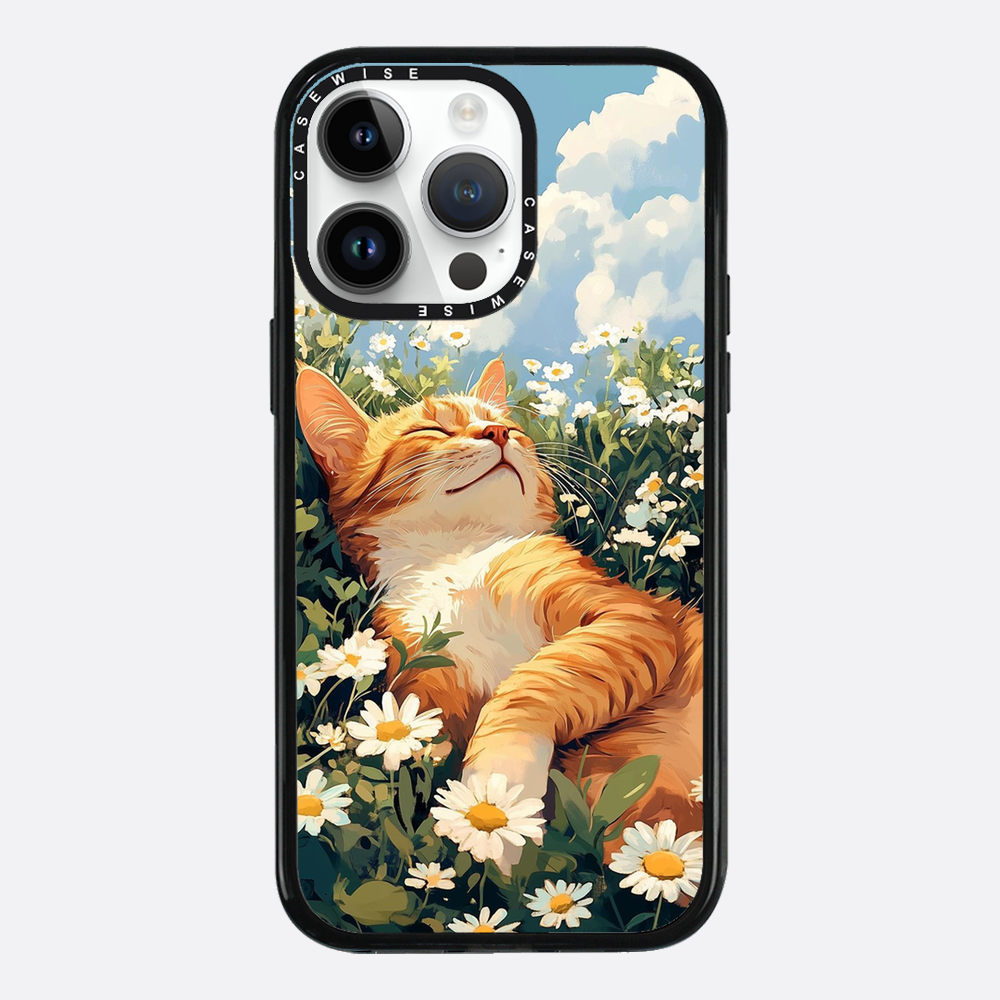 Katze Sommerkälte - Hülle