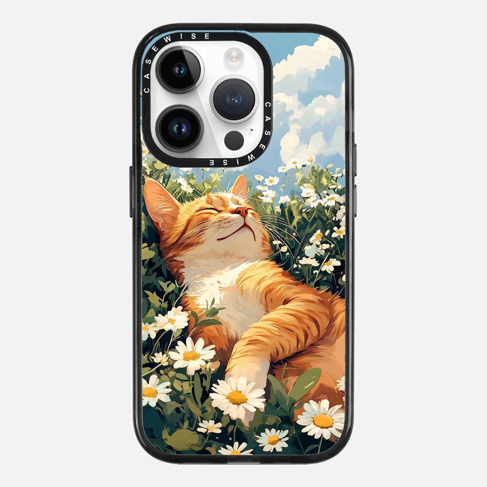 Katze Sommerkälte - Hülle