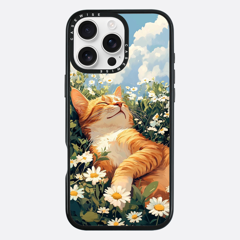 Katze Sommerkälte - Hülle