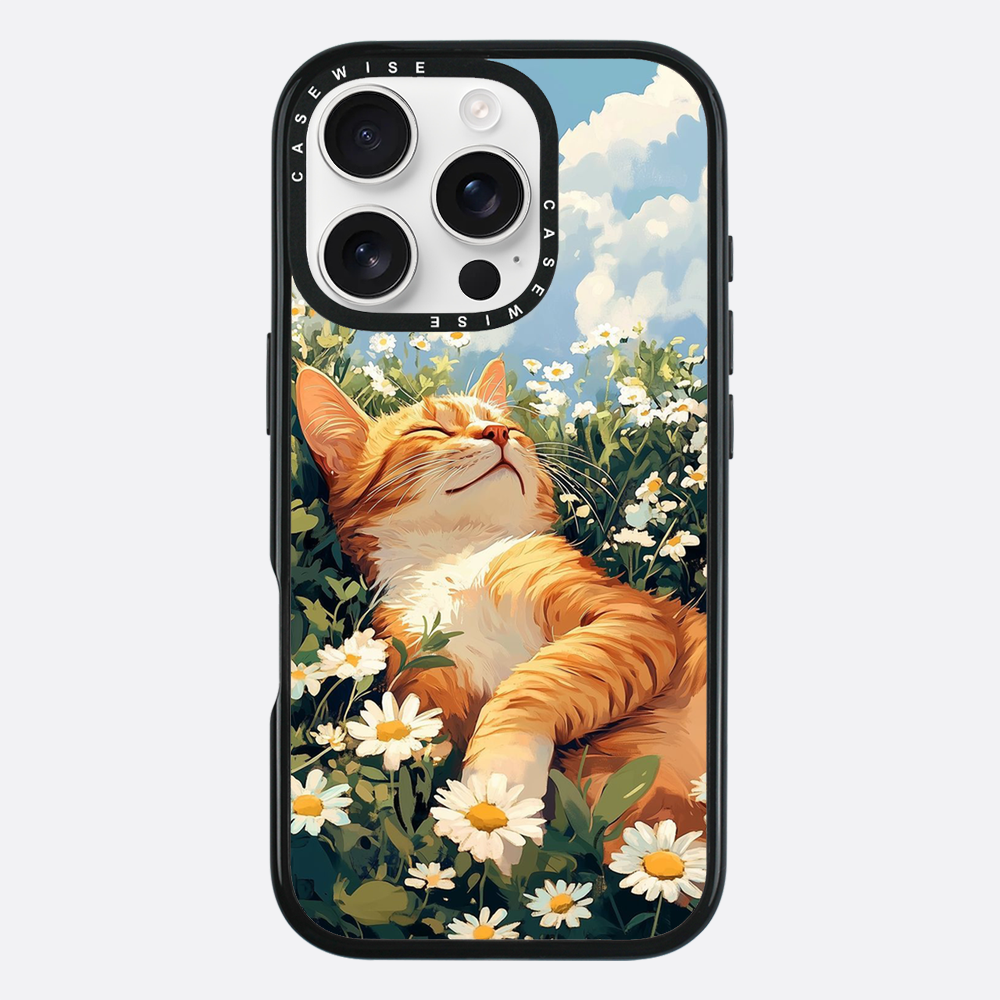 Katze Sommerkälte - Hülle