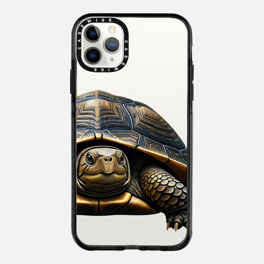Schildkröte 2 - Hülle