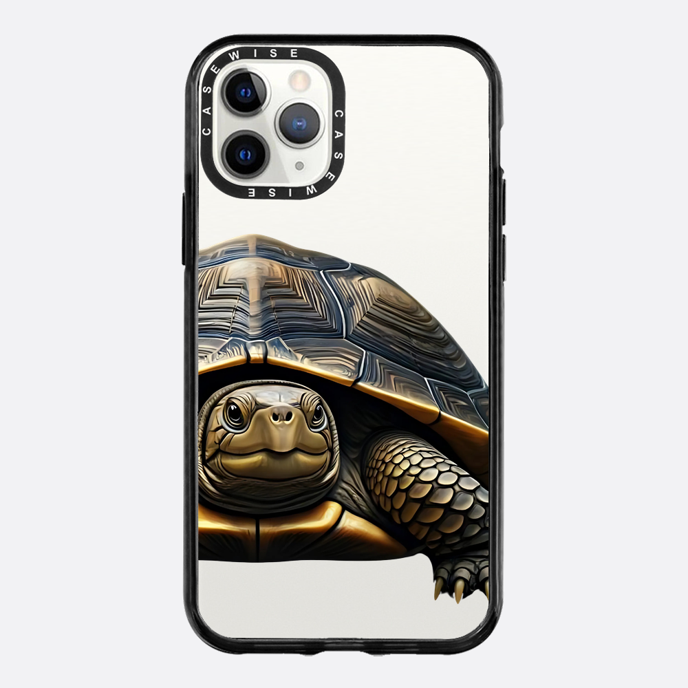 Schildkröte 2 - Hülle