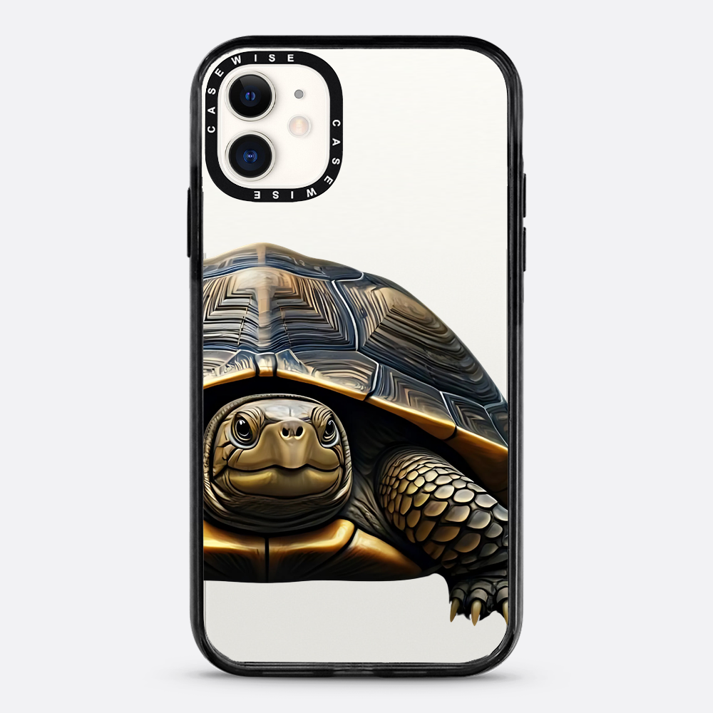 Schildkröte 2 - Hülle