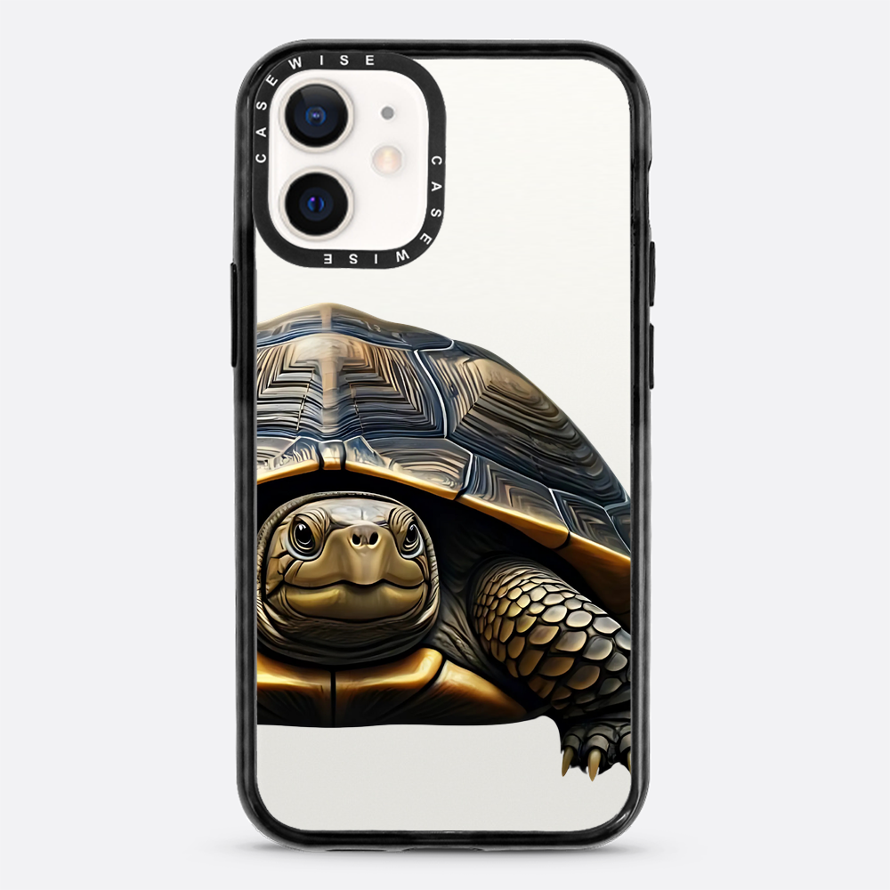 Schildkröte 2 - Hülle