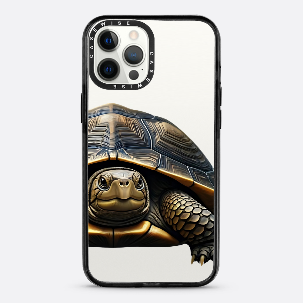 Schildkröte 2 - Hülle