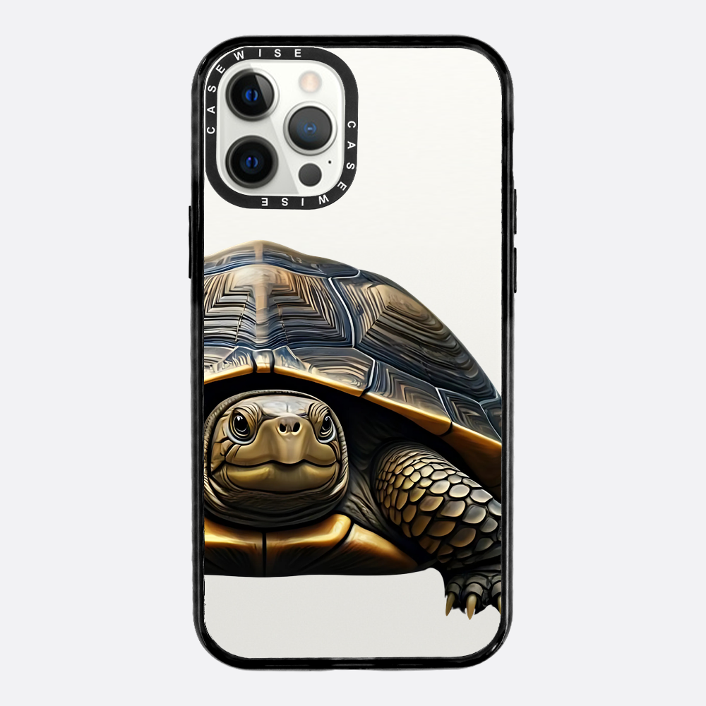 Schildkröte 2 - Hülle