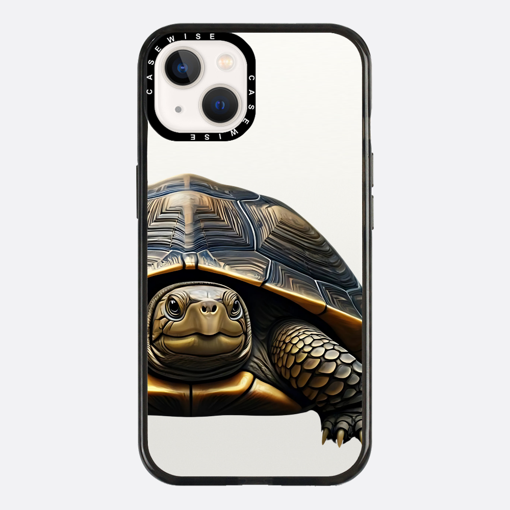Schildkröte 2 - Hülle