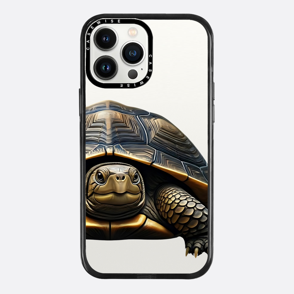 Schildkröte 2 - Hülle